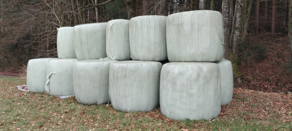 Silo/trockene Siloballen - keine Heulage günstig abzugeben