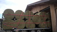 Streuwiesen-Rundballen trocken, geschnitten, ca. 20 Stück